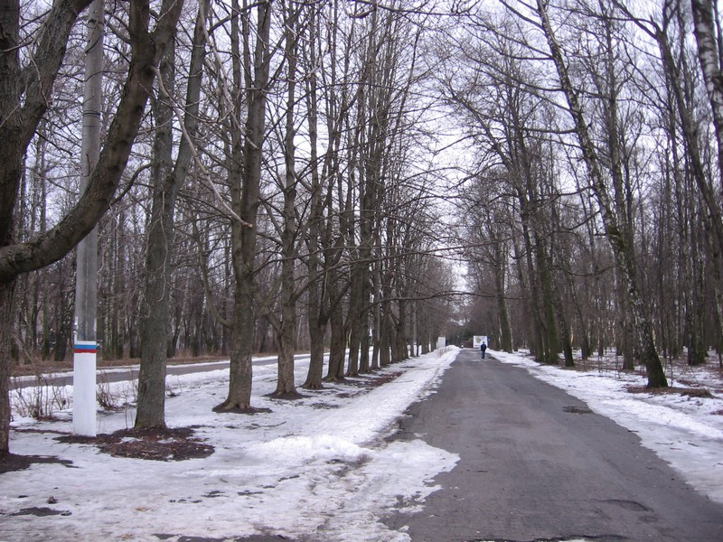 Парк имени гуськова оренбург фото