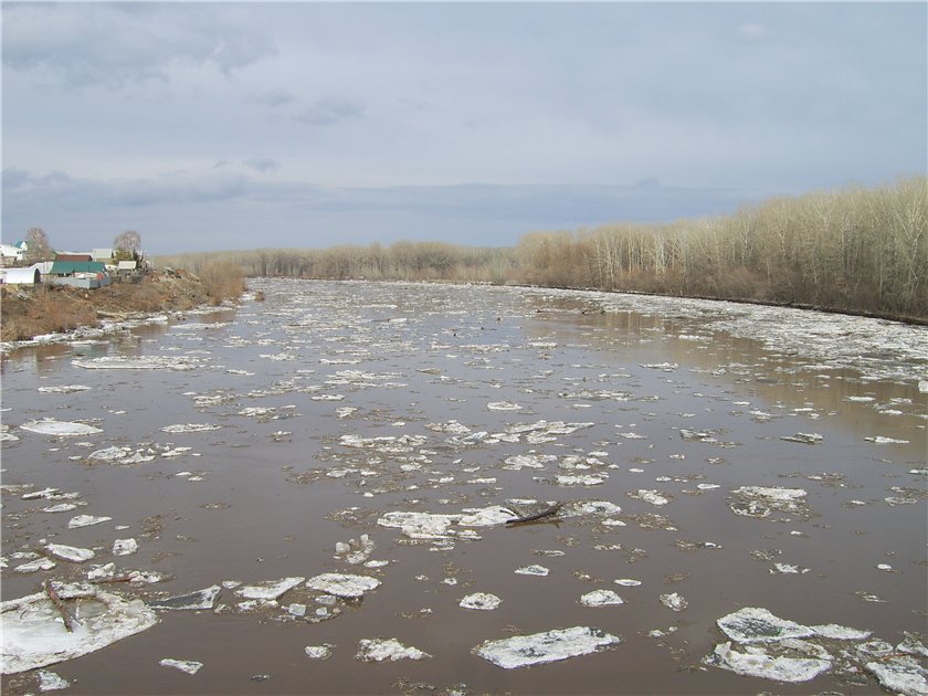 Паводок на урале. Паводок река Сакмара в Оренбурге. Сакмара река весной. Паводок весенний Оренбург. Уровень воды в реке Сакмара сегодня.