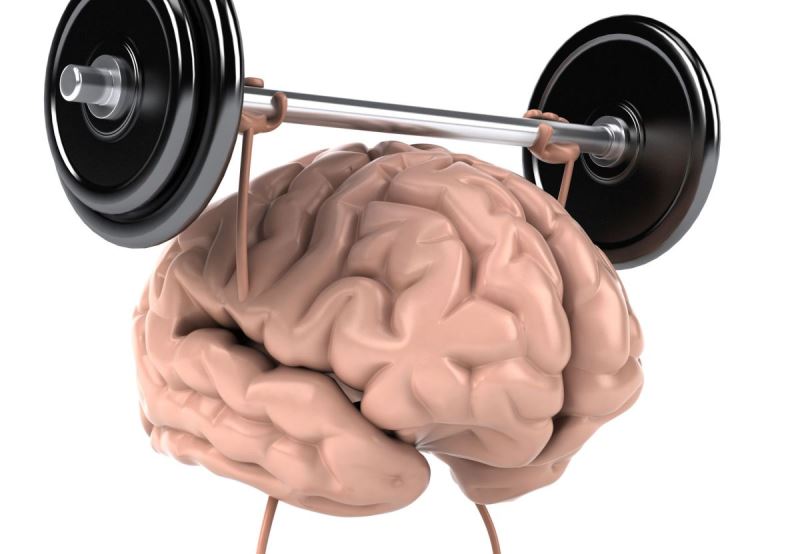 Повышение умственной активности. Умственная нагрузка. Умственная и физическая работоспособность. Тренажер для мозга.