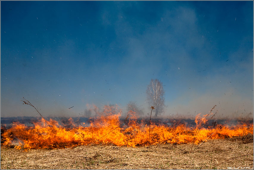 Астраханская область чрезвычайная ситуация. Пал травы. Горит трава. Степной пожар весной. Сухая трава.