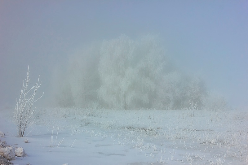 Снежная пелена. Оймякон туман изморозь. Буран природное явление. Метель. Метель природное явление.