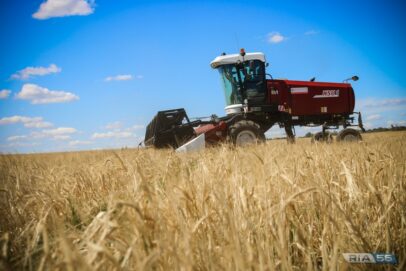 Оренбуржье вошло в число лидеров по итогам уборочной кампании
