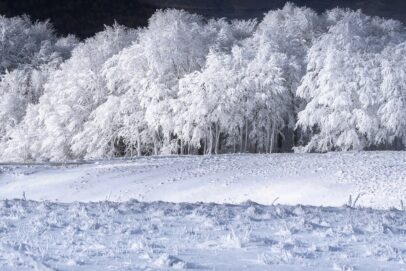 В Оренбуржье в ночь на 20 января температура воздуха понизится до -23 градусов