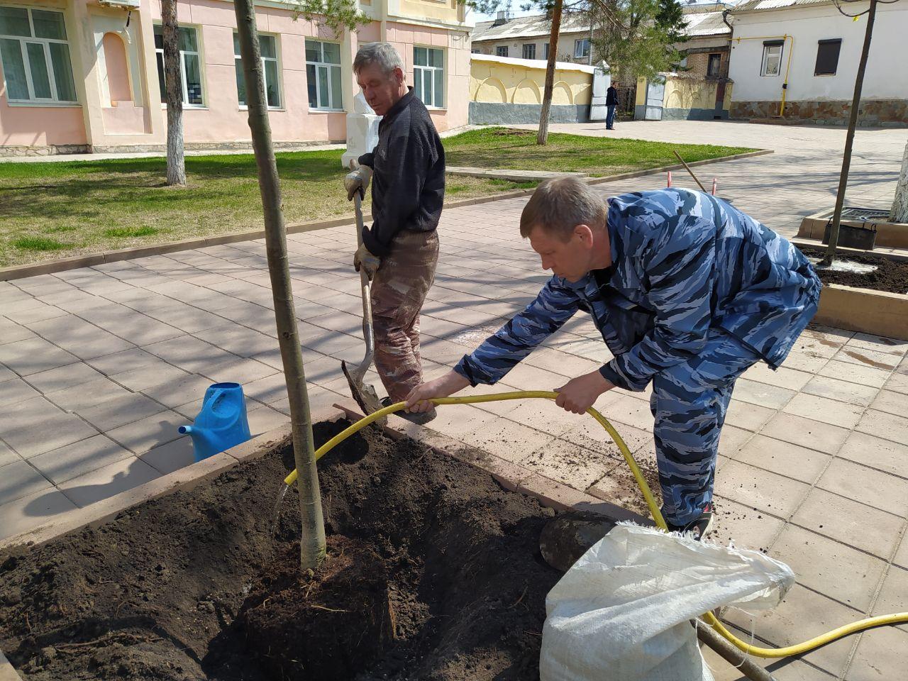 Правила благоустройства оренбург. Рабочий по озеленению и благоустройству. Специалисты по озеленению территории в Донецке. Деревья Оренбурга.