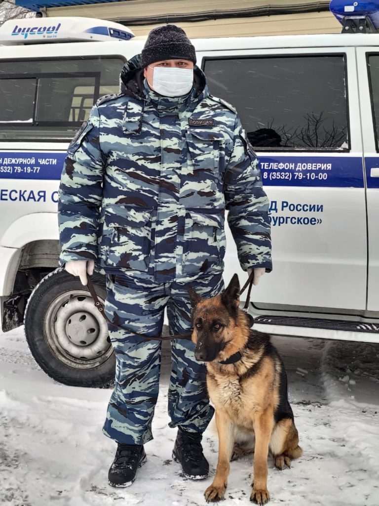 Трехлетняя овчарка Нивея под руководством кинолога Руслана Сагитова взяла след и провела полицейских до подъезда многоквартирного дома