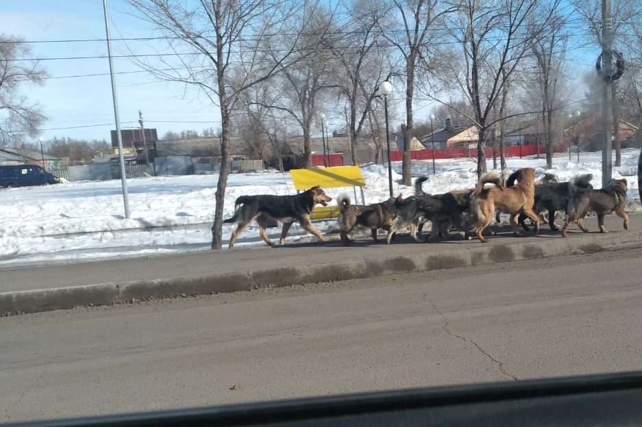 Весенняя подборка подсмотренного на улице фото