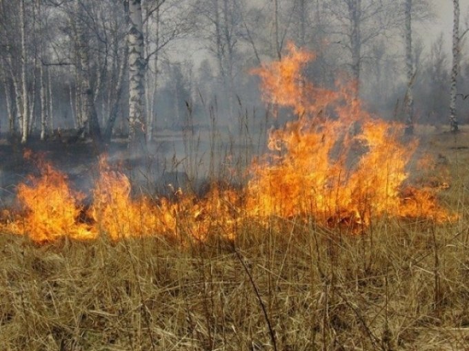 В Оренбургской области ожидается 4 класс пожарной опасности