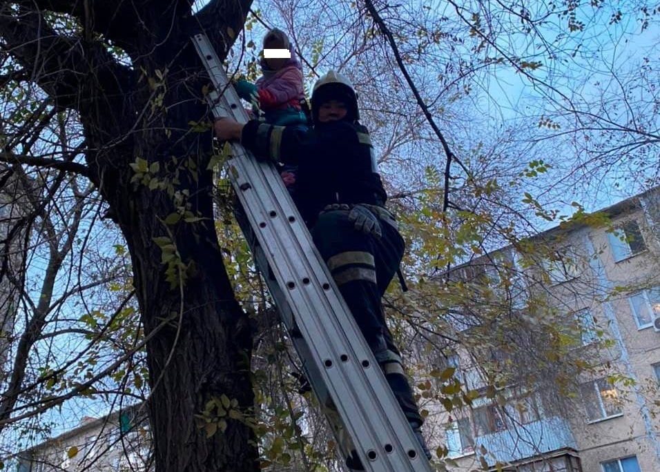 Спаси мою жизнь. Человека затянуло в эскалатор. Ребенка успели спасти. Сбор средств на лечение онкологии. Мчс спас ребенка из огня.