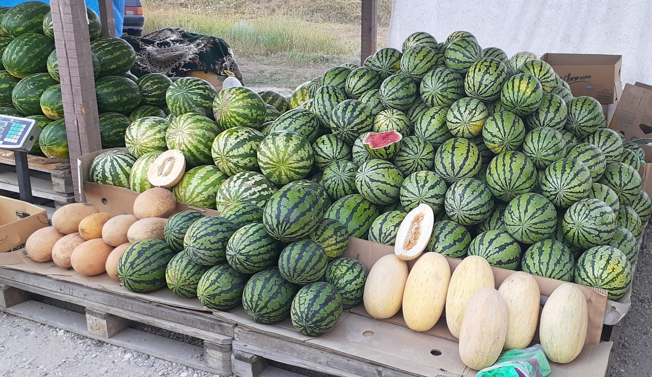 В Соль-Илецке на рынке теперь можно купить местные поливные арбузы —  Новости Оренбурга и Оренбургской области на РИА56