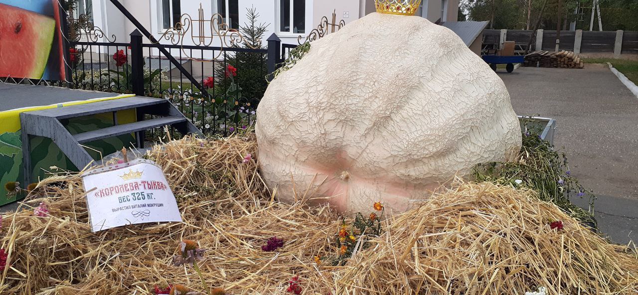 Арбузный фестиваль город соль илецк 27 августа 2022. Соль илецк фестиваль арбузов 2022. Бахчевод. Соль илецк арбузный фестиваль. День арбуза в соль илецке 2024 году.