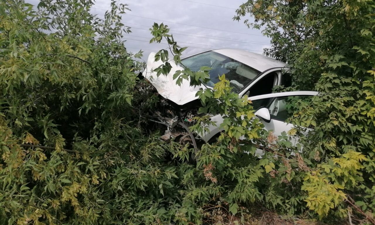 В Бузулуке в ДТП с двумя иномарками пострадали 4 человека | 07.09.2022 |  Новости Оренбурга - БезФормата