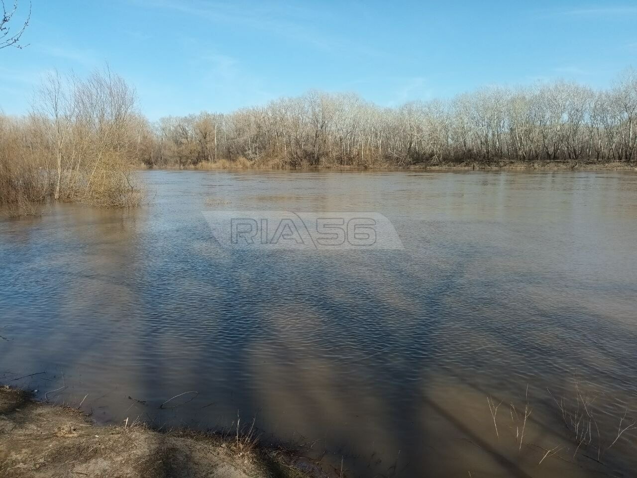 Какой уровень воды в урале в илеке