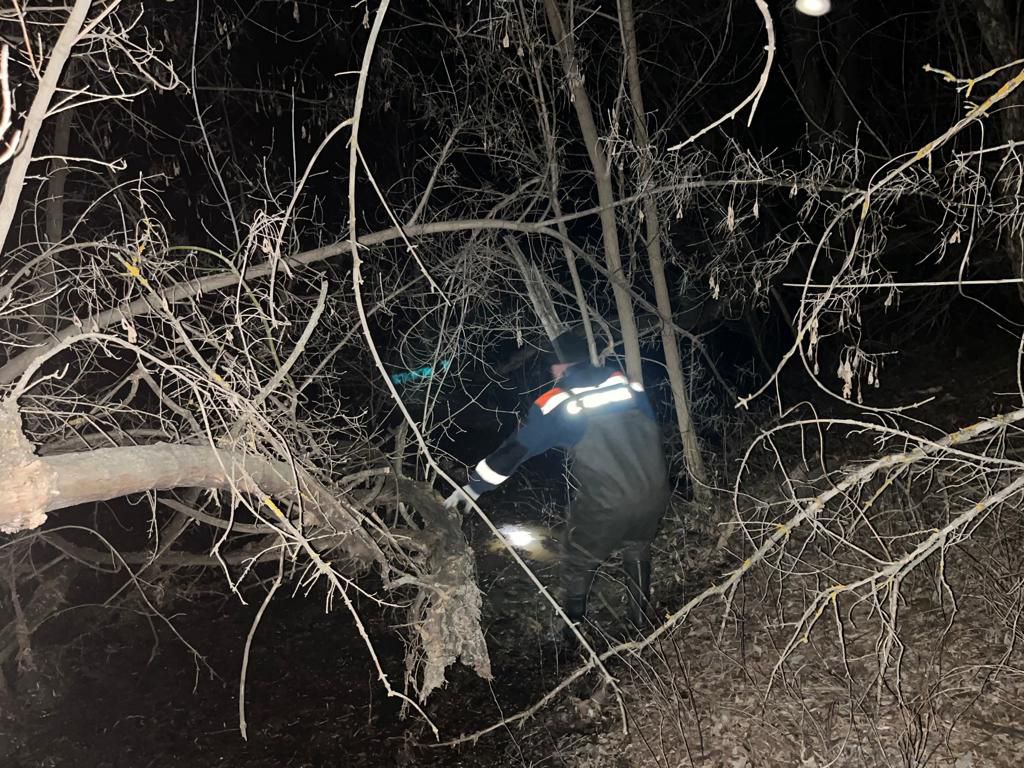 В Оренбургском районе спасатели сняли мужчину с поваленного дерева в  подтопленном лесу | 07.04.2023 | Новости Оренбурга - БезФормата