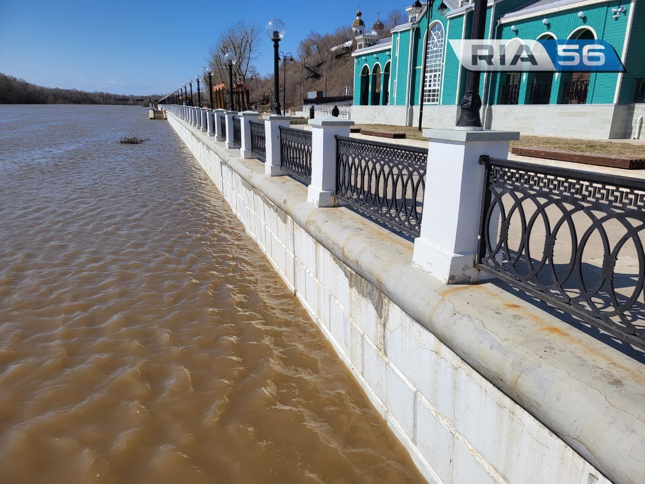 Новости телеграмм оренбург фото 101