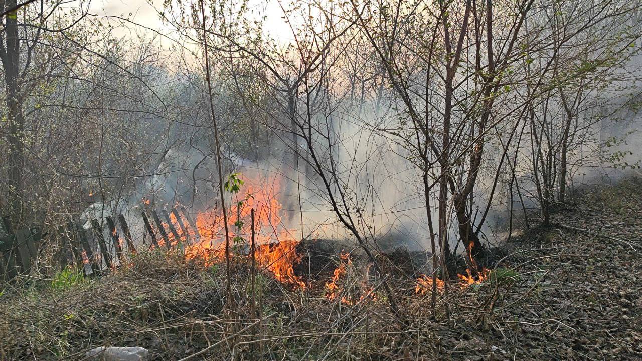 На ландшафтном пожаре в Бузулуке уже сгорело более десяти дачных участков |  01.05.2023 | Новости Оренбурга - БезФормата