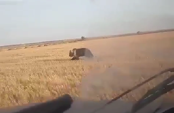 Pochta orqali past narxlarda porno DVD disklar