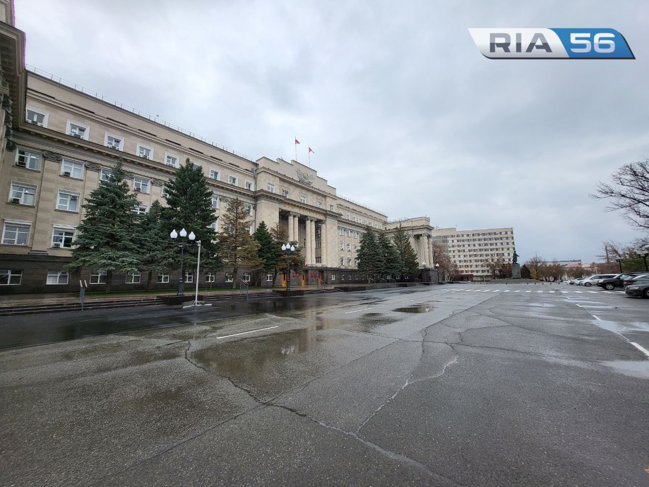 Сегодня депутаты Заксоба Оренбуржья рассмотрят «собачий закон» и еще более  50 вопросов — Новости Оренбурга и Оренбургской области на РИА56