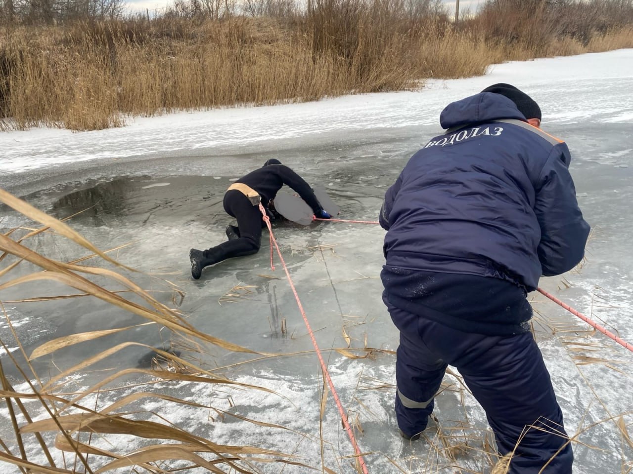 Много рыбаков на льду