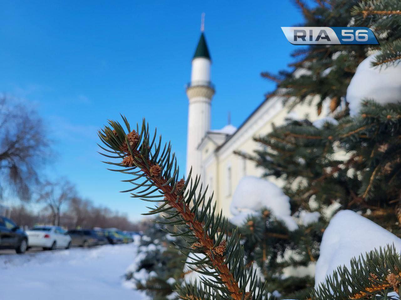 Морозно и без осадков. В Оренбуржье днем, 25 февраля, ожидается -15  градусов — Новости Оренбурга и Оренбургской области на РИА56