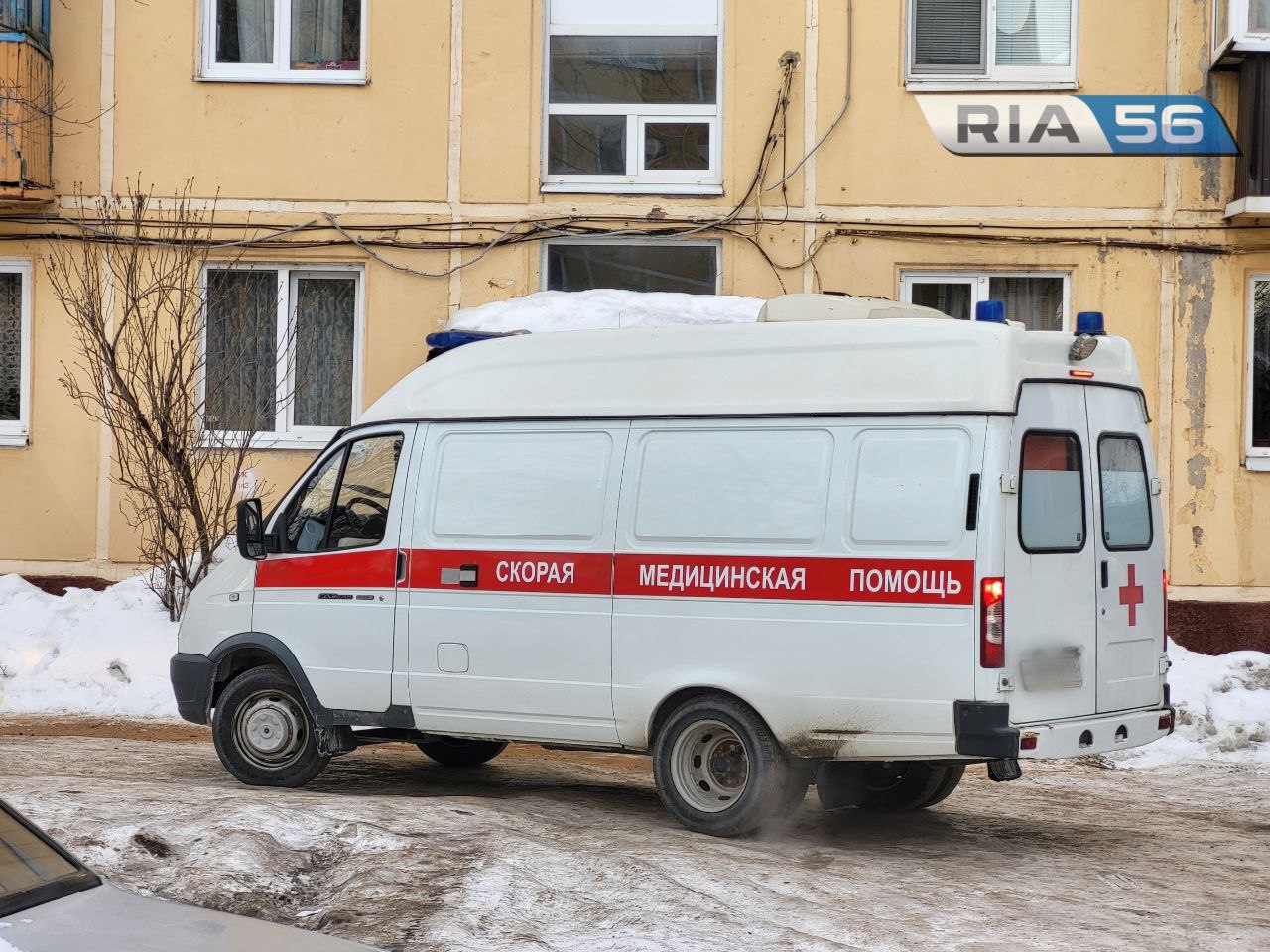 Оренбуржцам назвали предельные сроки ожидания скорой и врачебной помощи в  2024 году — Новости Оренбурга и Оренбургской области на РИА56