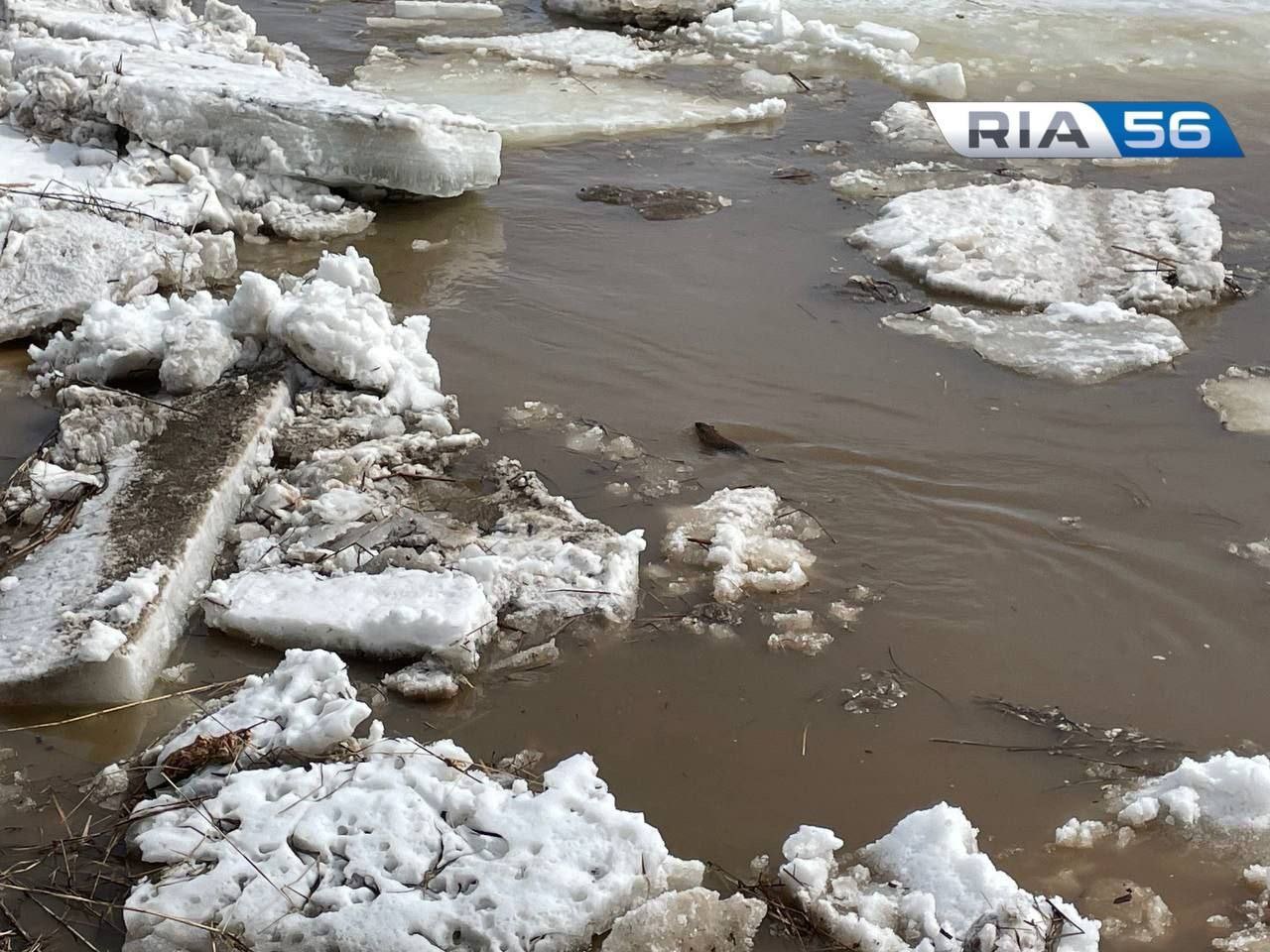 На реке Урал в Оренбурге начался ледоход — Новости Оренбурга и Оренбургской  области на РИА56