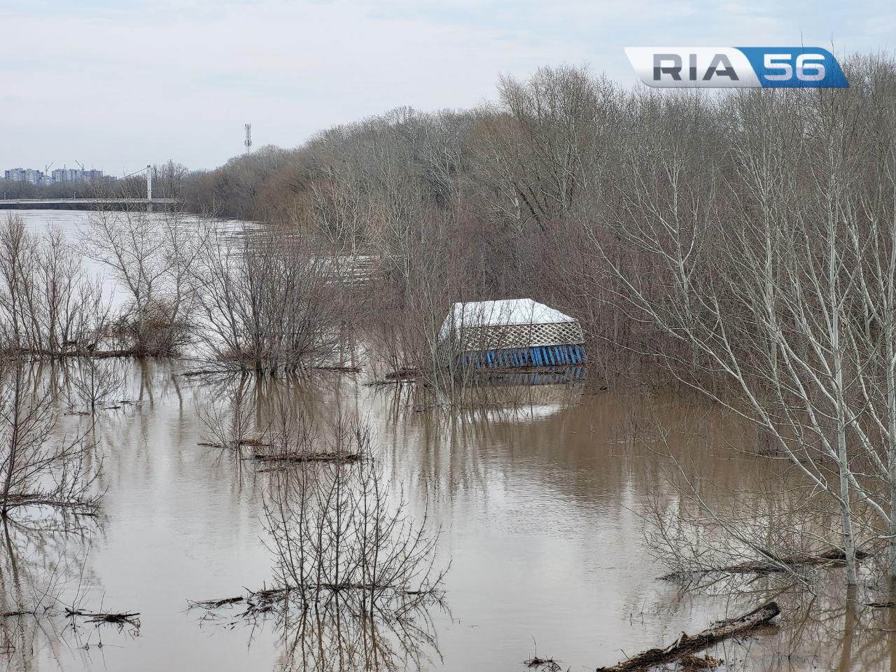 Вода прибывает. Обстановка на набережной Урала в Оренбурге — Новости  Оренбурга и Оренбургской области на РИА56