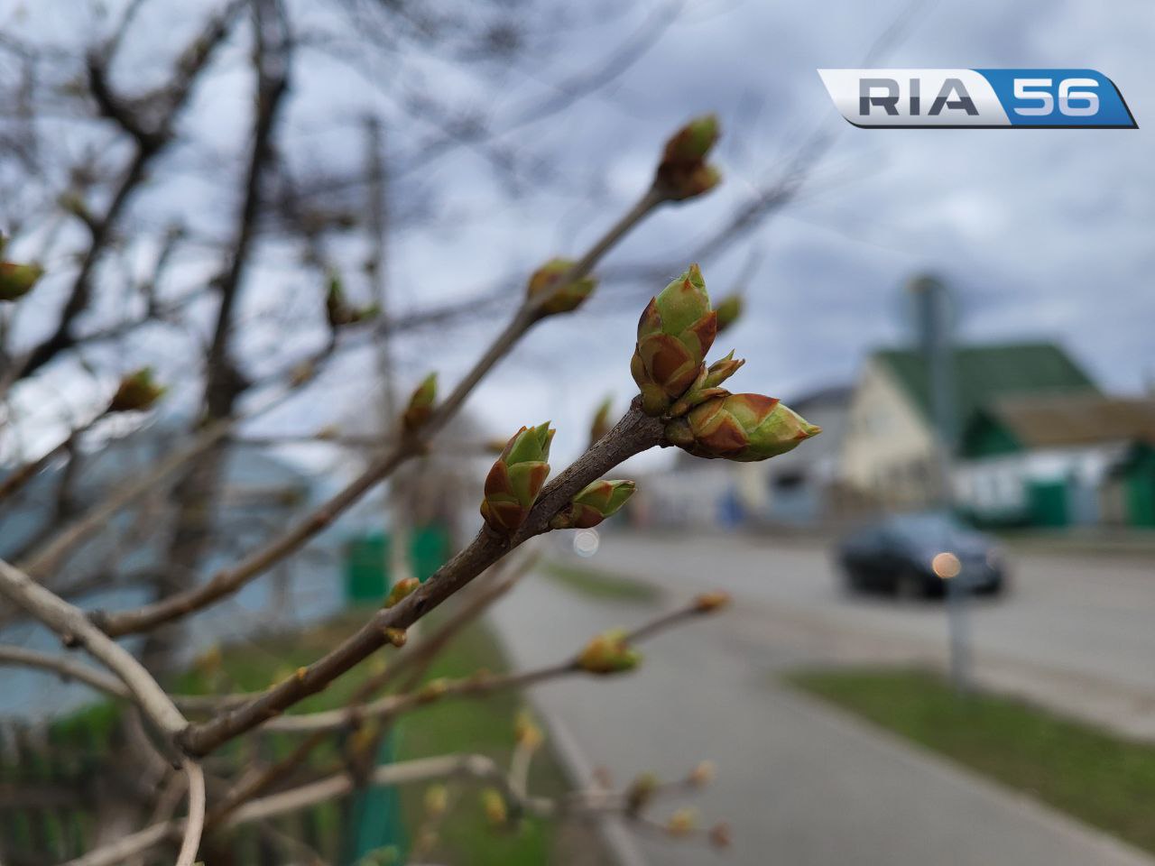 В Оренбуржье днем, 16 апреля, ожидается дождь и до +17 градусов. Возможна  гроза | 16.04.2024 | Новости Оренбурга - БезФормата