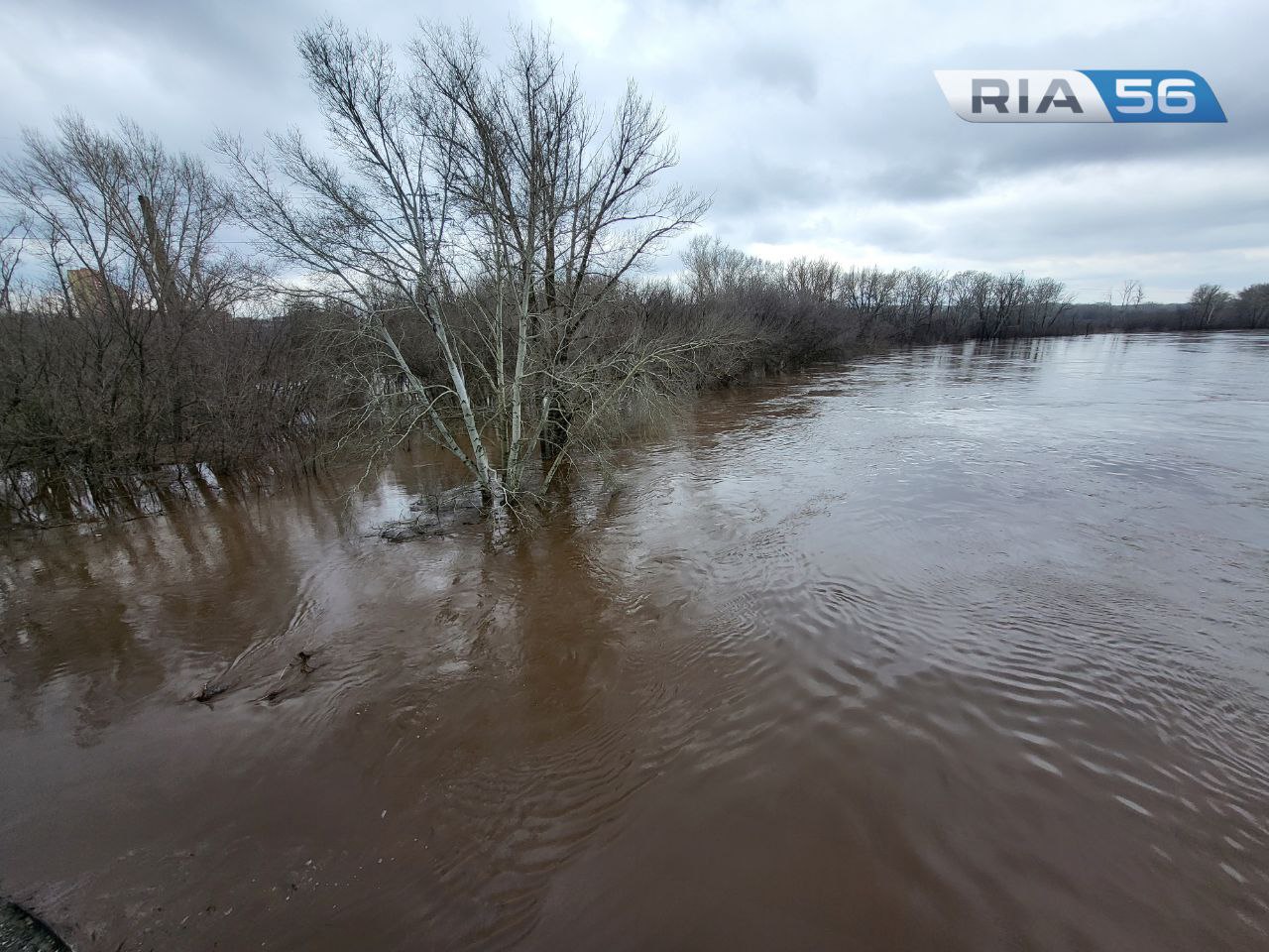 На спад. Уровень воды в Сакмаре у Татарской Каргалы на 12:00 снизился до  884 сантиметра | 20.04.2024 | Новости Оренбурга - БезФормата