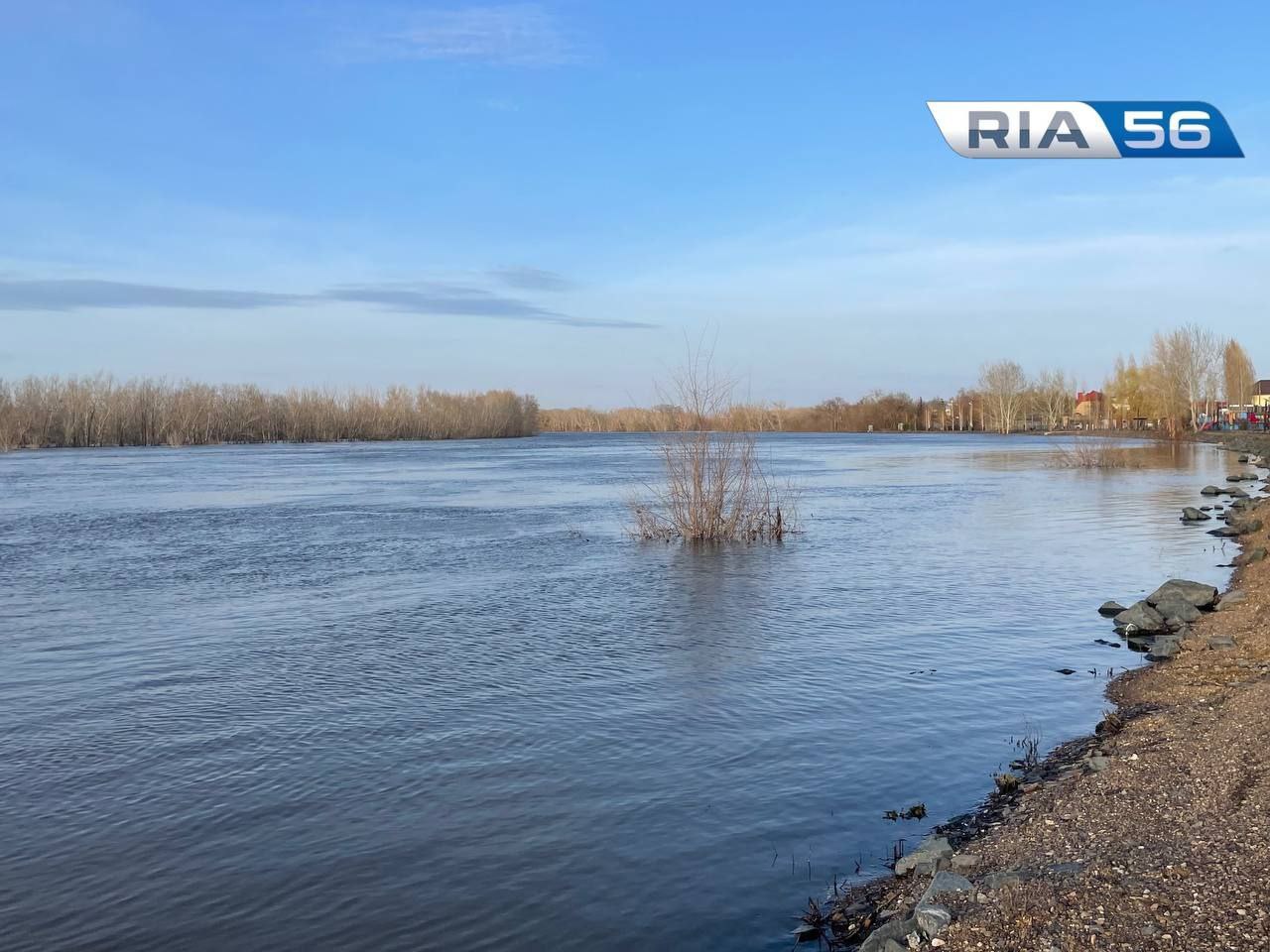 Уровень воды в Сакмаре у Татарской Каргалы — 880 сантиметров на 20:00 |  20.04.2024 | Новости Оренбурга - БезФормата