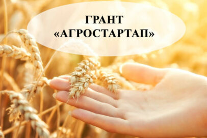 В Оренбургской области определены победители грантового конкурса «Агростартап»