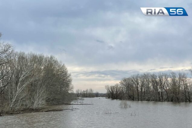 Идет снижение. 1140 сантиметров — уровень воды в Урале у Оренбурга на 10:00