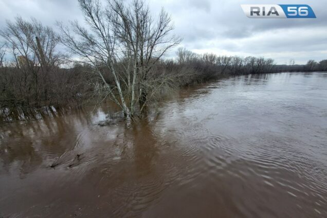 Сакмара пошла на спад – уровень воды у Татарской Каргалы 854 см на 10.00
