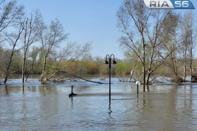 Ниже 9 метров. 894 сантиметра — уровень воды в Урале у Оренбурга на 08:00