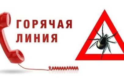 С 30 апреля в Оренбуржье запускают горячую линию по профилактике клещевых инфекций