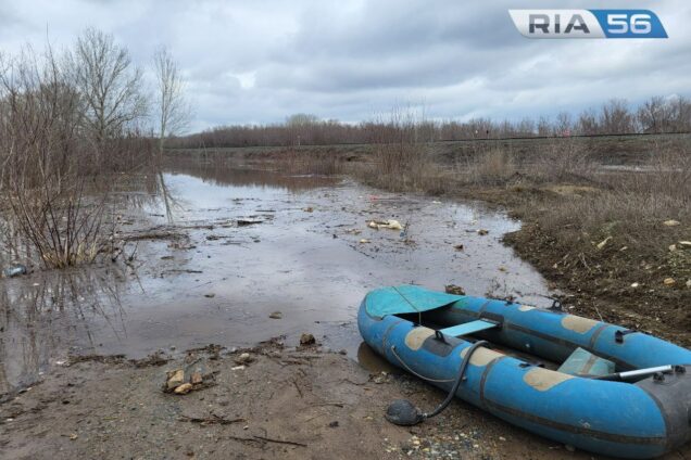 Подъем продолжается. Уровень воды в Сакмаре у Татарской Каргалы — 878 сантиметров