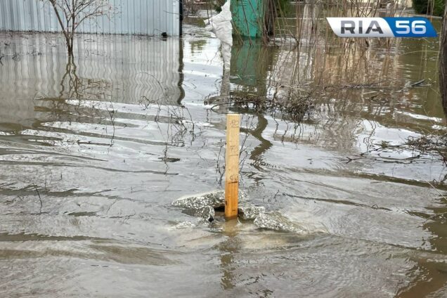 1002 сантиметра — уровень воды в Урале у Оренбурга на 08:00