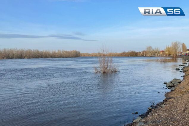 Уровень воды в Сакмаре у Татарской Каргалы 891 сантиметр на 12.00