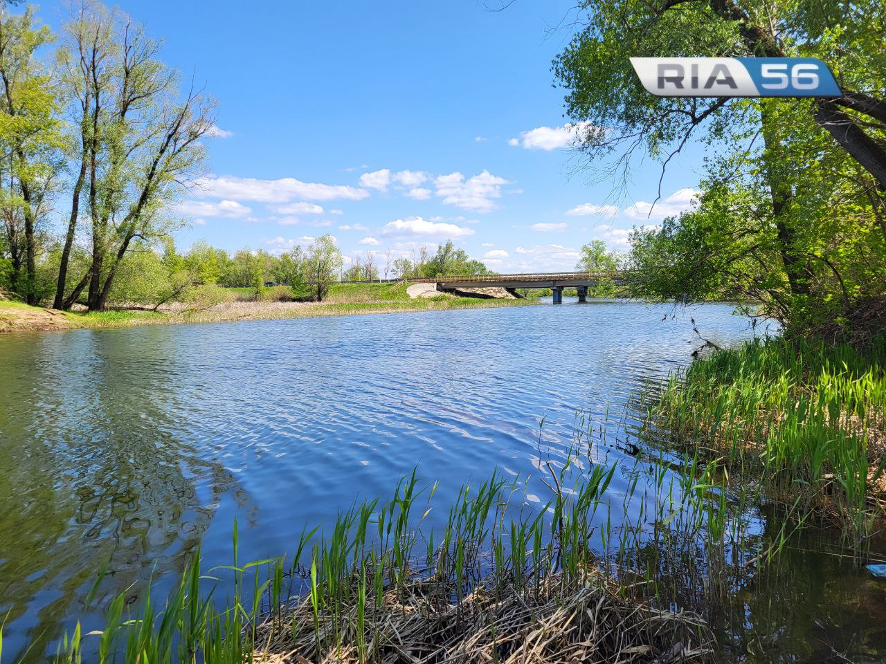 Возможно утонула. Водолазы выехали в Красногвардейский район на поиски  пенсионерки | 07.06.2024 | Новости Оренбурга - БезФормата