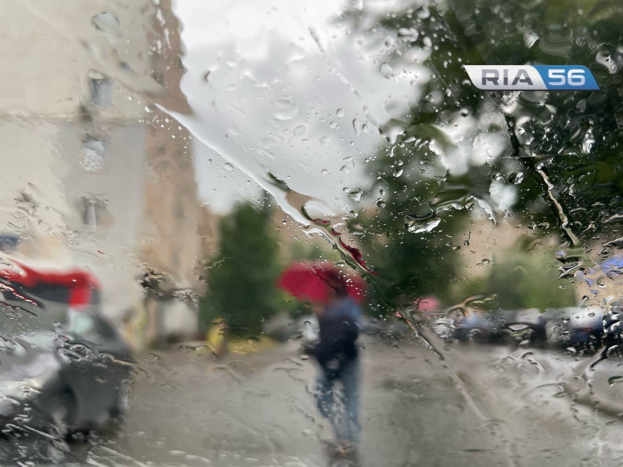 В Оренбуржье днем, 26 июня, ожидается дождь, гроза и до +25 градусов |  26.06.2024 | Новости Оренбурга - БезФормата