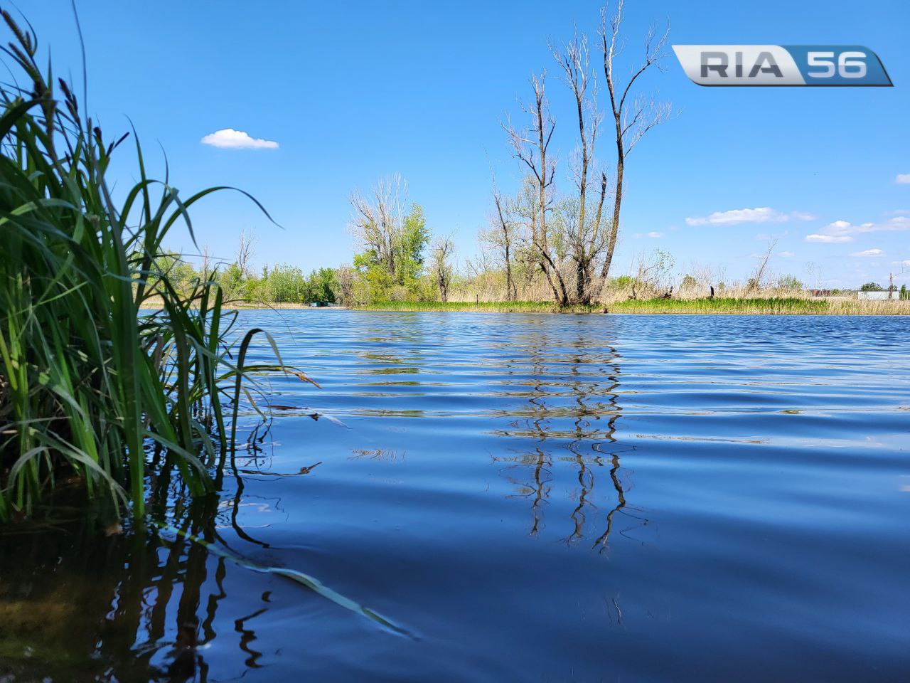 В Бузулуке в реке Самара утонул 33-летний мужчина — Новости Оренбурга и  Оренбургской области на РИА56