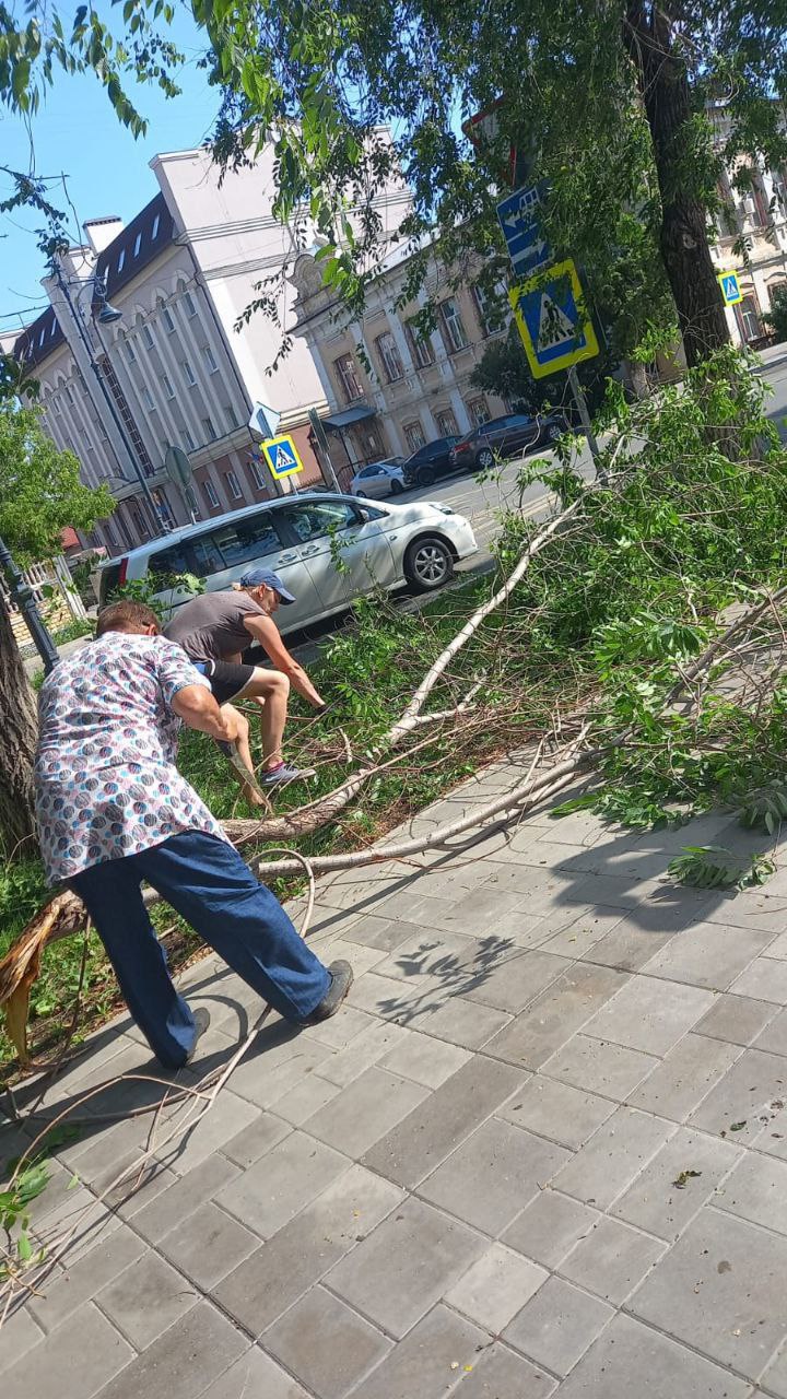 Сломанные и поваленные деревья. В Оренбурге устраняют последствия стихии |  08.06.2024 | Новости Оренбурга - БезФормата