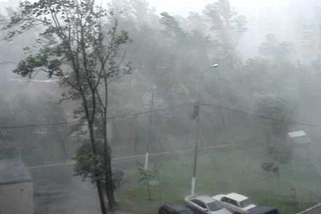 Ураган и гроза: В Новоорском районе погибла женщина, в Оренбурге ветер валил деревья