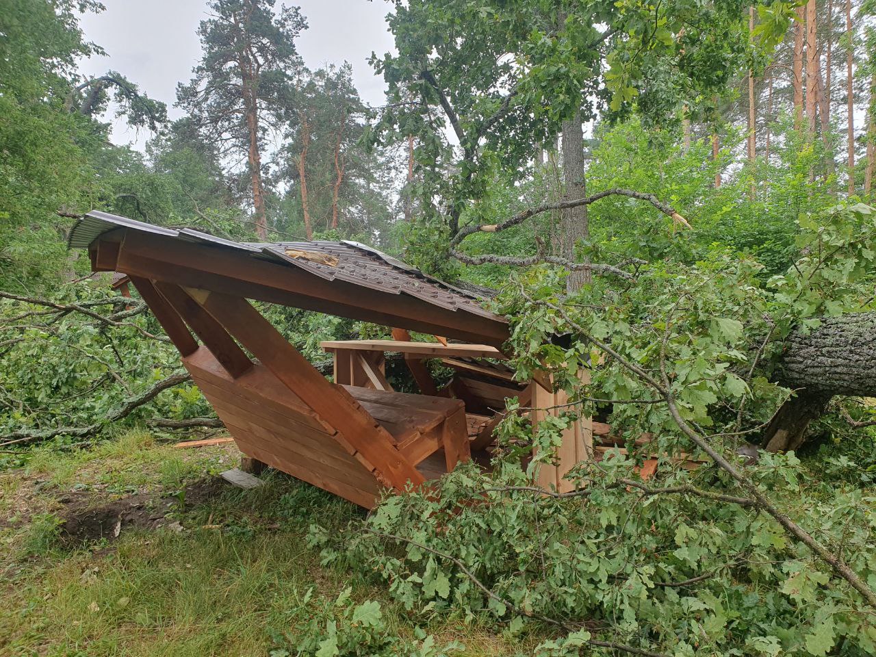 Упал огромный дуб, расплющена беседка. В Бузулукском бору накануне бушевал  шторм | 09.07.2024 | Новости Оренбурга - БезФормата