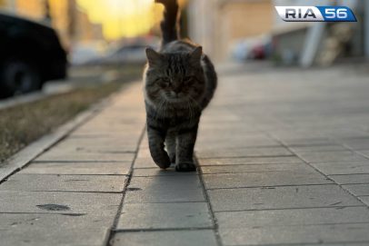 В Оренбуржье в ночь на 19 сентября ожидается до +8 градусов