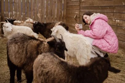 Козы, песни и платки: О туристических маршрутах Оренбуржья можно узнать из госпабликов