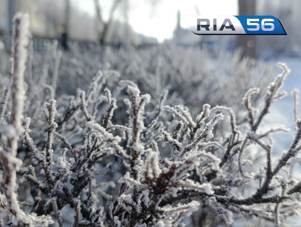Встречайте воеводу-мороза. В Оренбуржье в ночь на 23 февраля ожидается до -26°