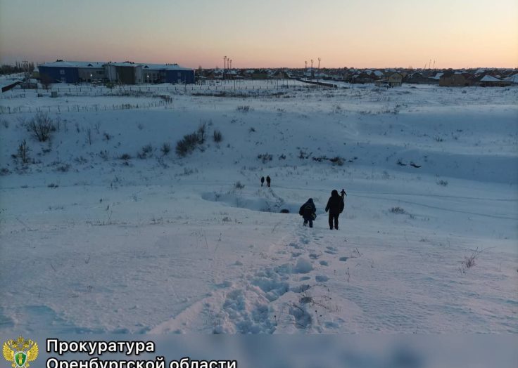 Под Оренбургом женщина и ребенок насмерть разбились на «дикой» горке