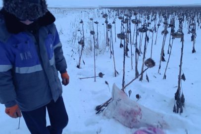 Спрятал тушу в лесу. В Кваркенском районе поймали браконьера с ружьём