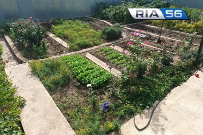 Лунный календарь рассады на 2026: Как фазы Луны влияют на ваш будущий урожай?