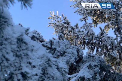 Немного пурги и тумана. В ночь на 15 февраля в Оренбуржье ожидается до -18°